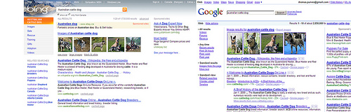 Bing_vs_google_results by Tom Purves google vs bing photo